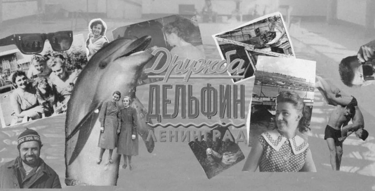 Премьера спектакля «Дружба, дельфин, Ленинград».
